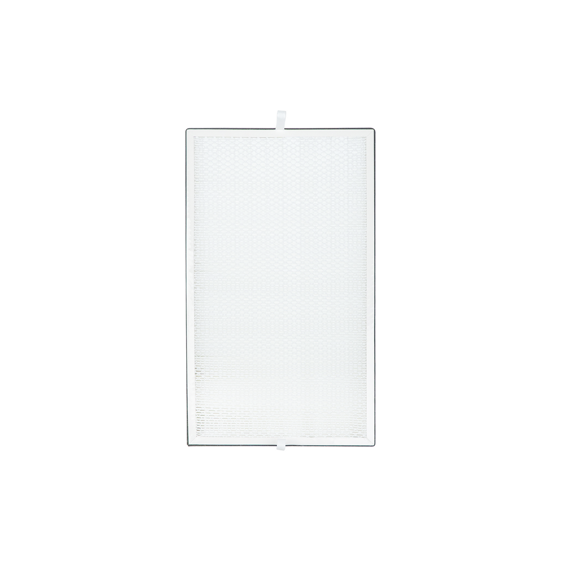 Beam Air Pro - Intermediate Filter